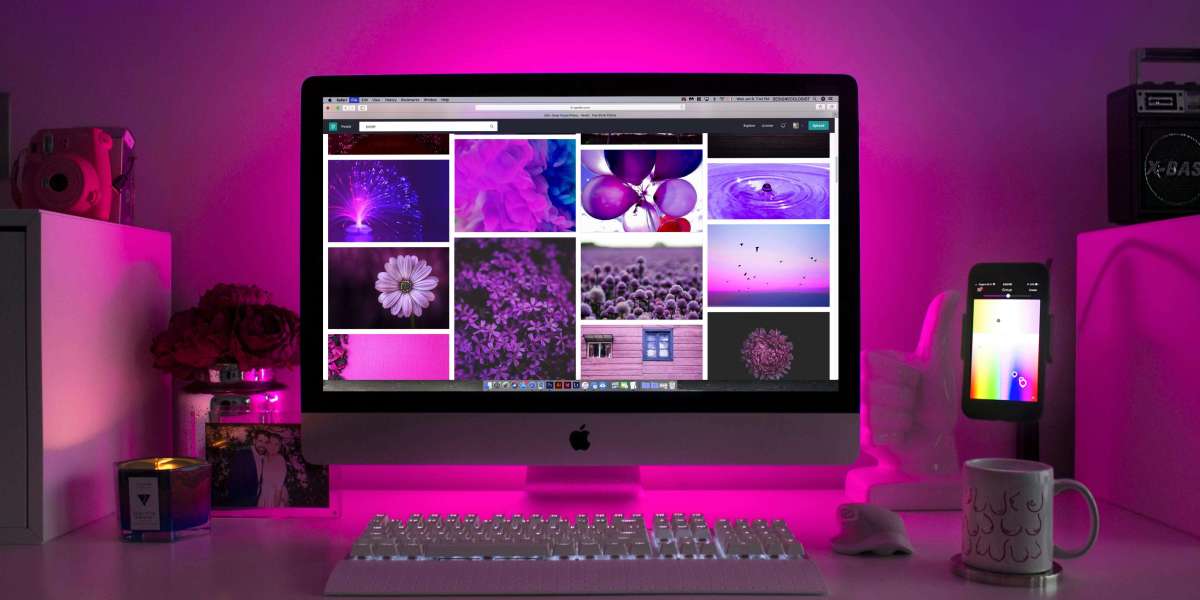 Elevate Your Brand with Web Development Portland Experts