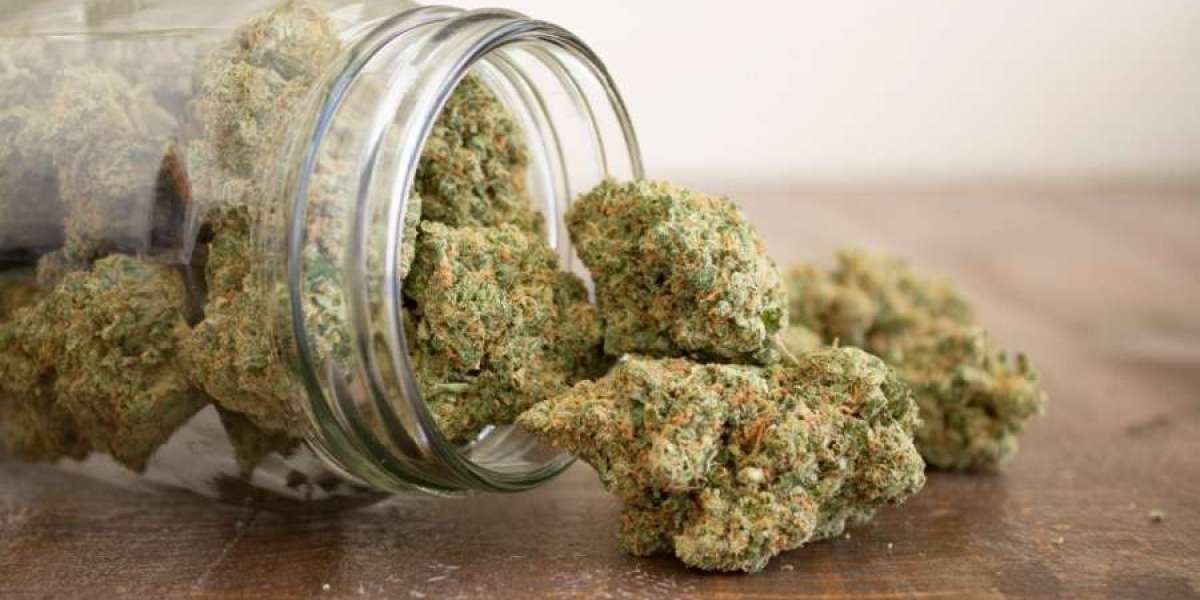 Exploring the Best Options for Weed Near Me: A Modern Guide to Local Access