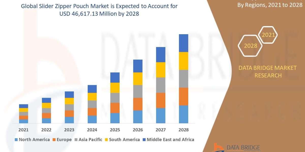 Slider Zipper Pouch Market Gains Traction Globally with Rising Demand for Reusable Packaging