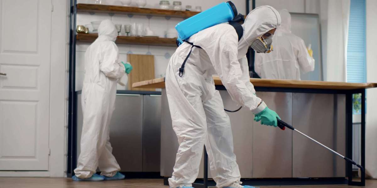 Ultimate Guide to Achieving a Pest Free Environment