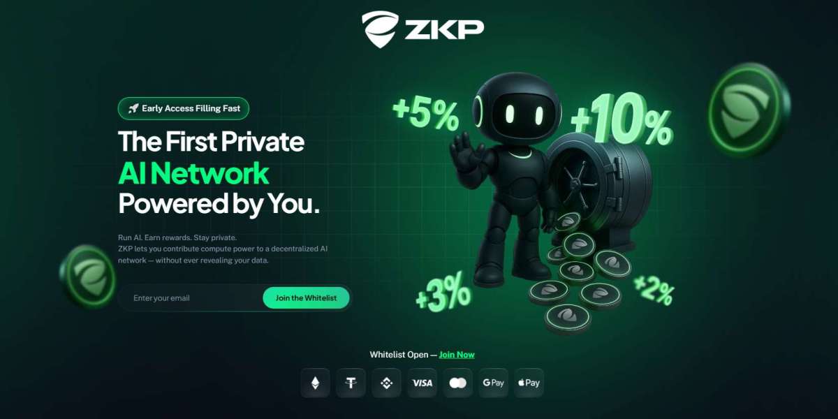 Encrypted AI in Healthcare: How ZKP Company is Securing Patient Data